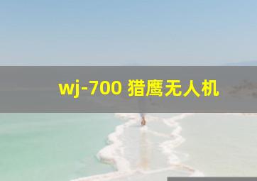 wj-700 猎鹰无人机